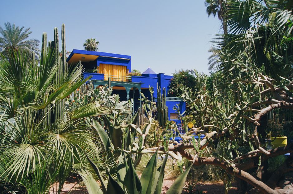 33 Rue Majorelle