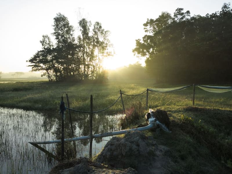 A morning in Tra Que