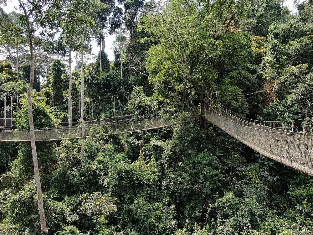 Akagera National Park