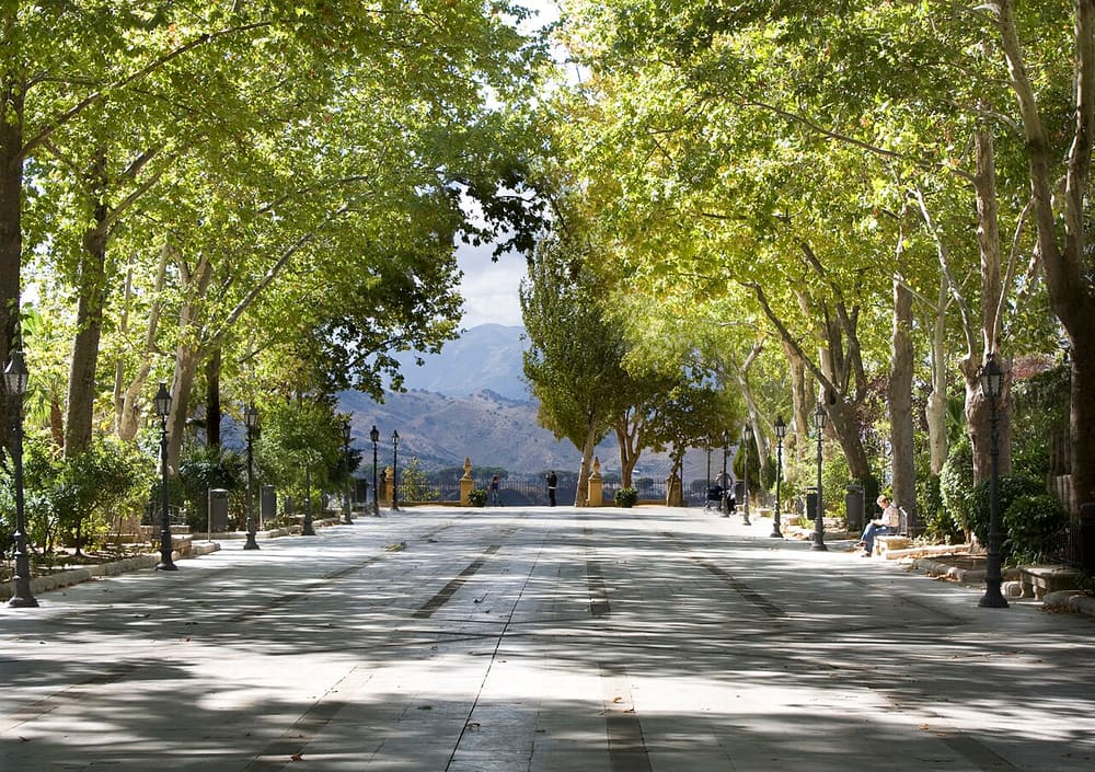 Alameda del Tajo, Ronda, Spain (Wimup)