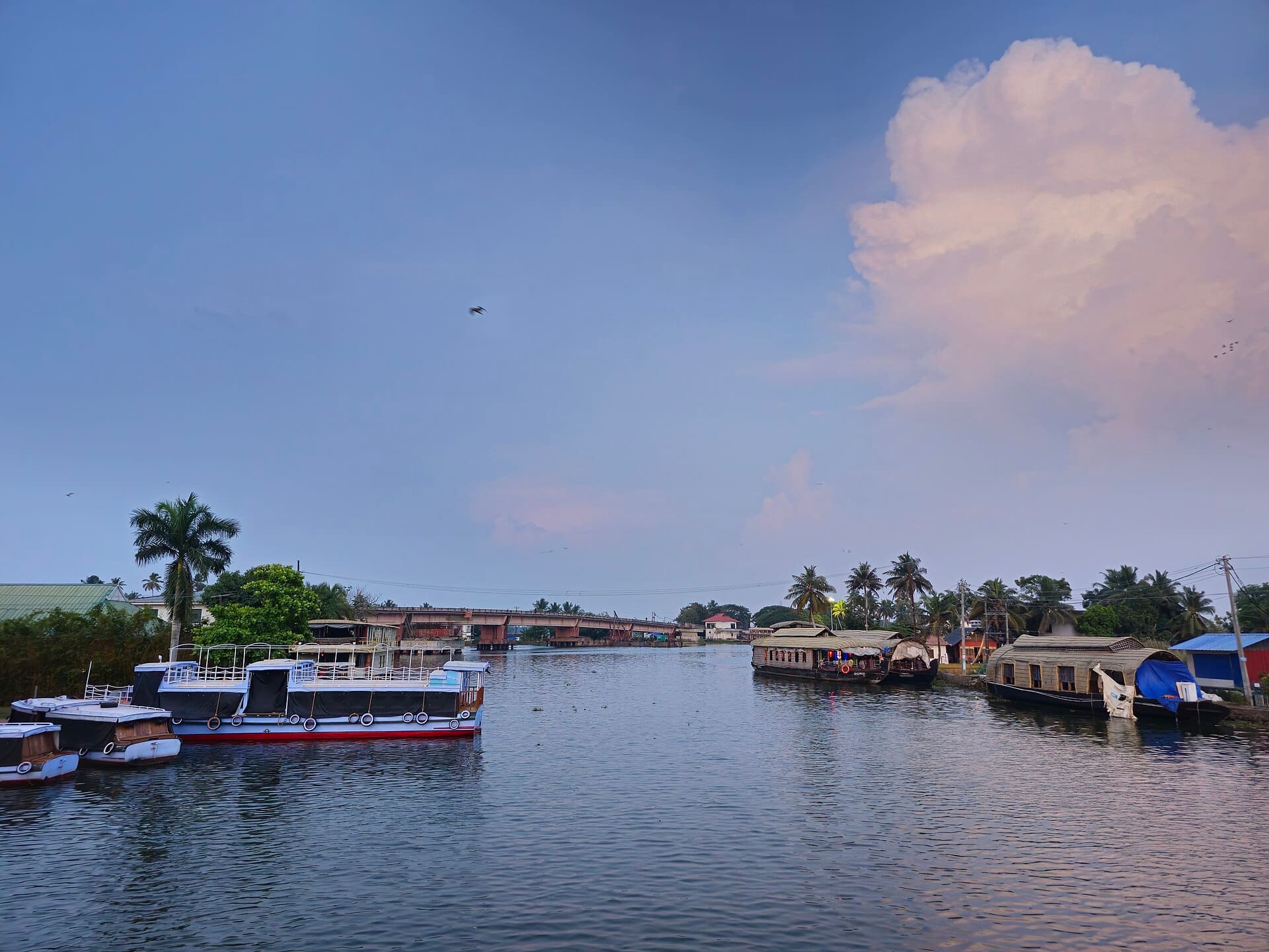 Alappuzha, India, Wimup city guide