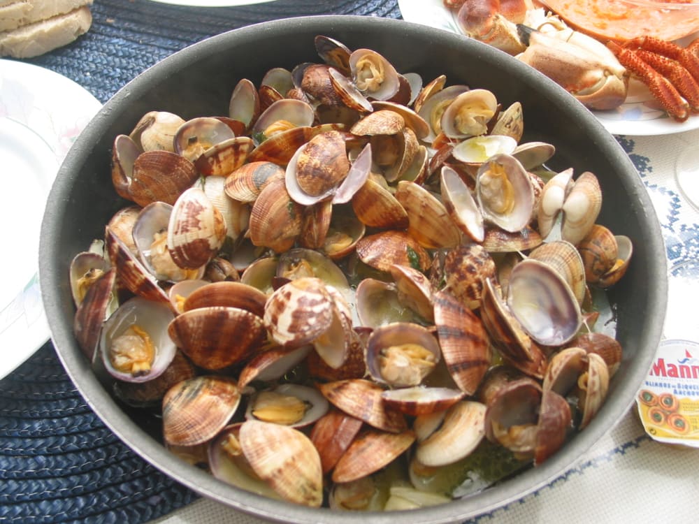Amêijoas à Bulhão Pato, Portugal (Wimup)