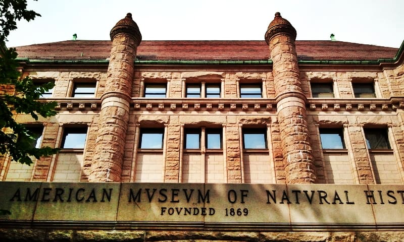 American Museum of Natural History, New York City, United States (Wimup)