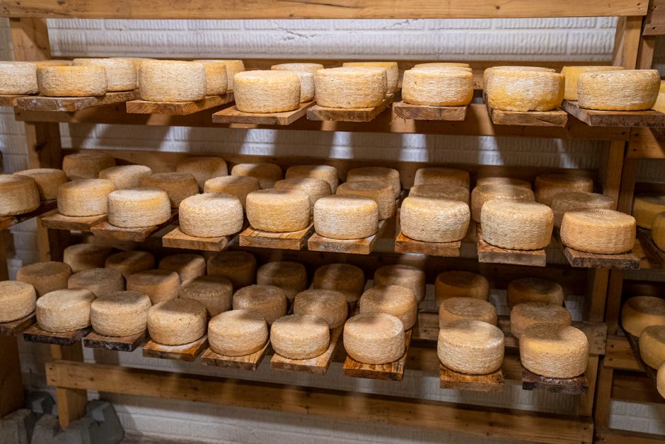 Andorran cheeses, Andorra la Vella (Wimup travel guide)