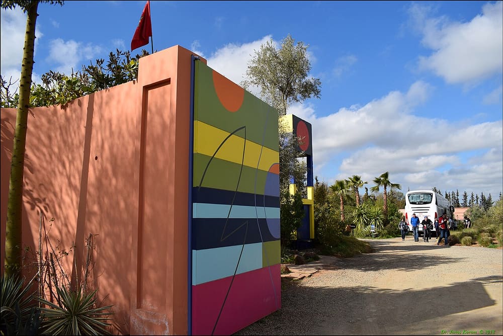 ANIMA Garden