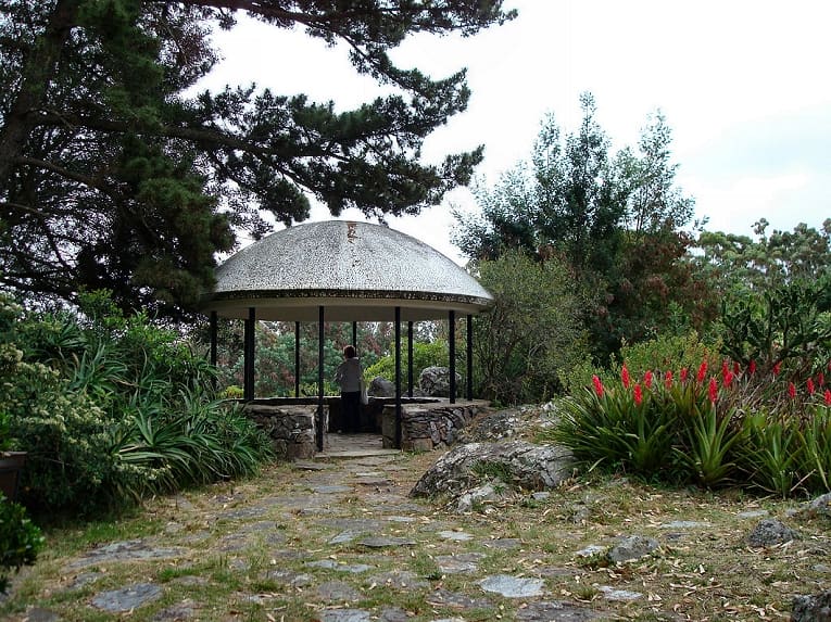 Arboretum Lussich, Punta del Este, Uruguay (Wimup)