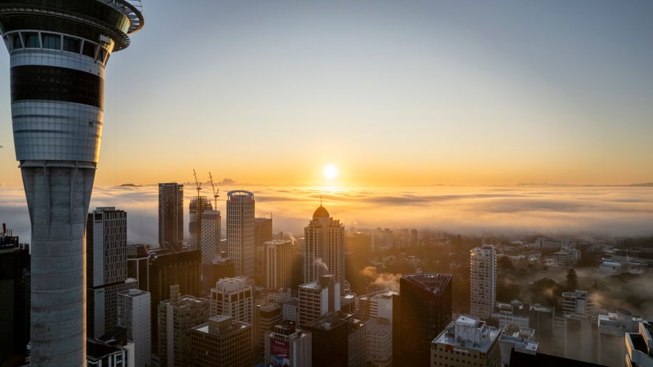 Auckland, New Zealand, Wimup city guide