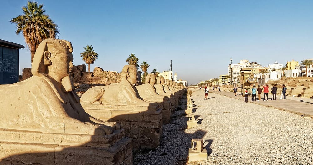 Avenue of Sphinxes, Luxor, Egypt (Wimup)
