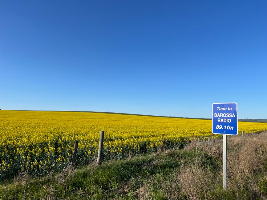 Barossa Valley