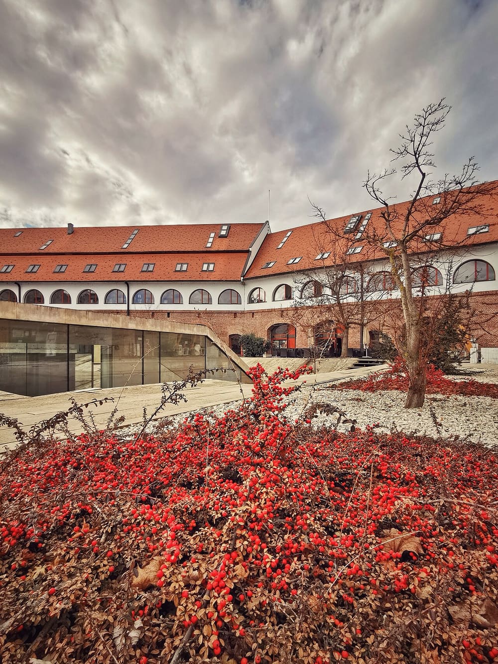 National Museum of Banat