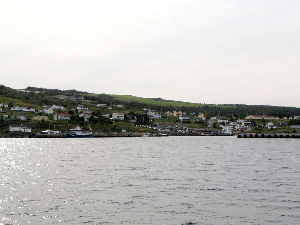 Bay Bulls, St. John's, Canada (Wimup)