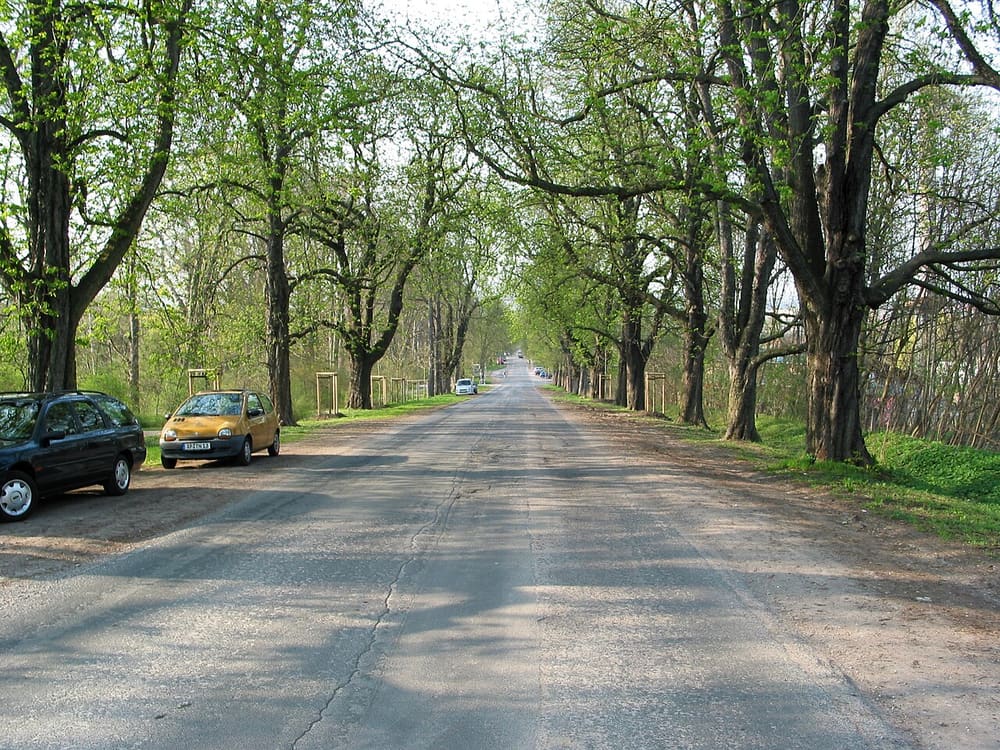 Belvederer Allee