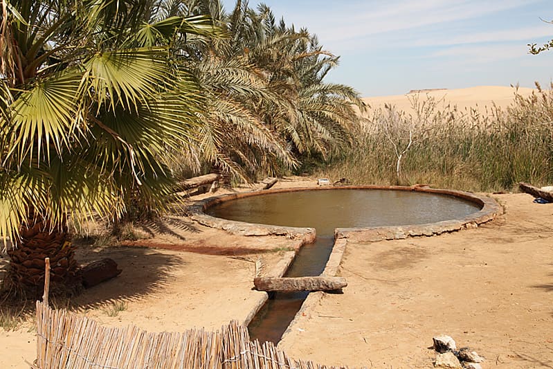 Bir Wahed, Siwa Oasis, Egypt (Wimup)