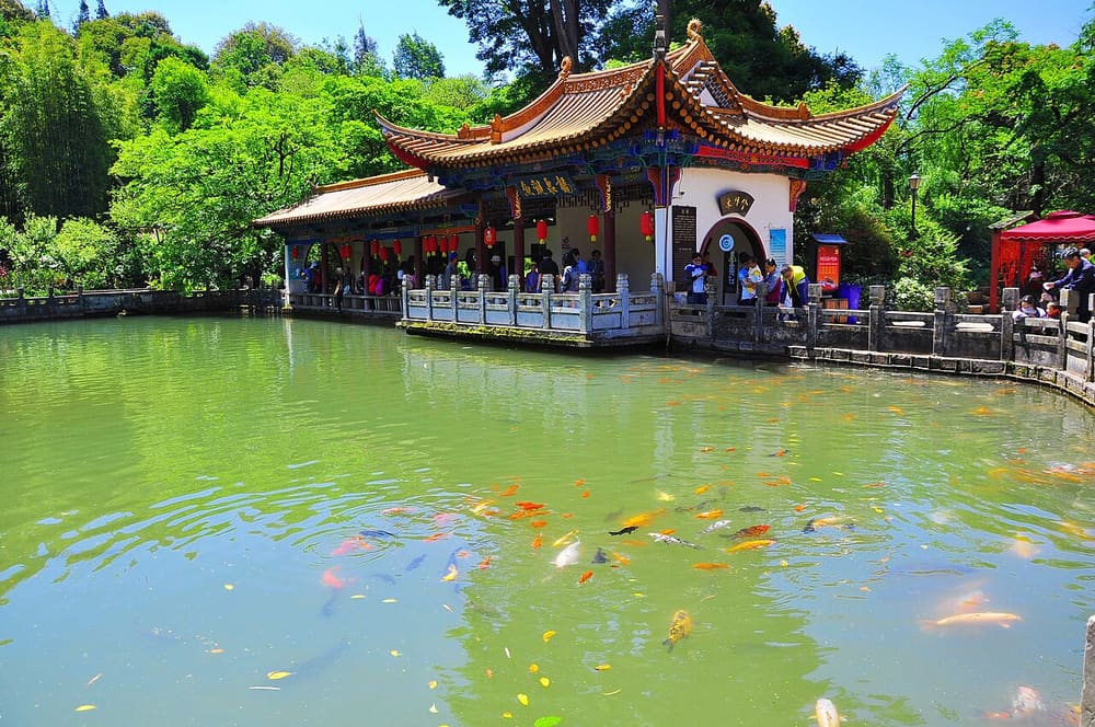 Black Dragon Pool Park