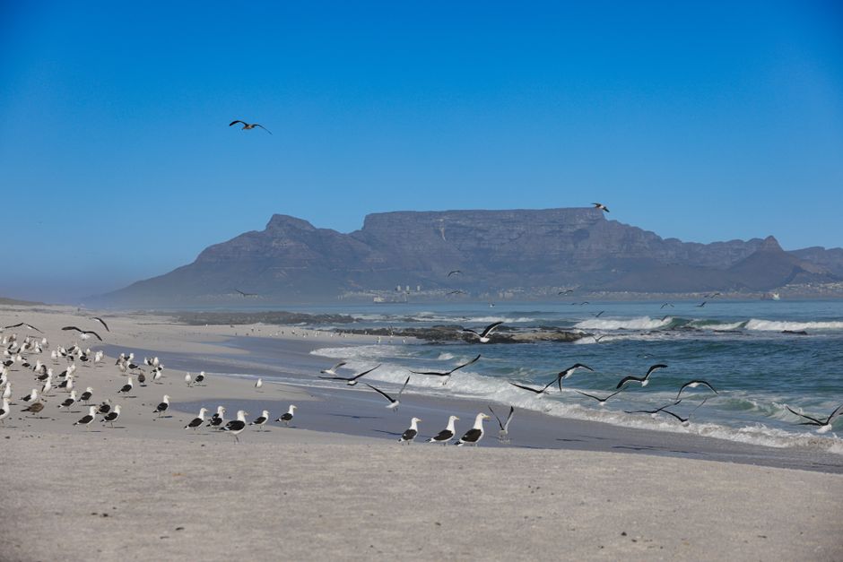 Bloubergstrand