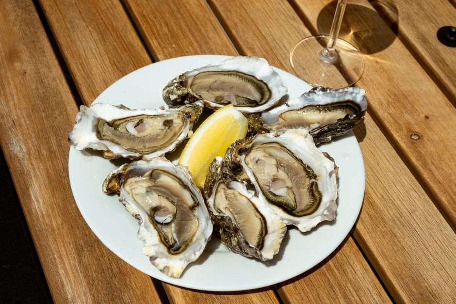 Bluff oysters, Dunedin (Wimup travel guide)