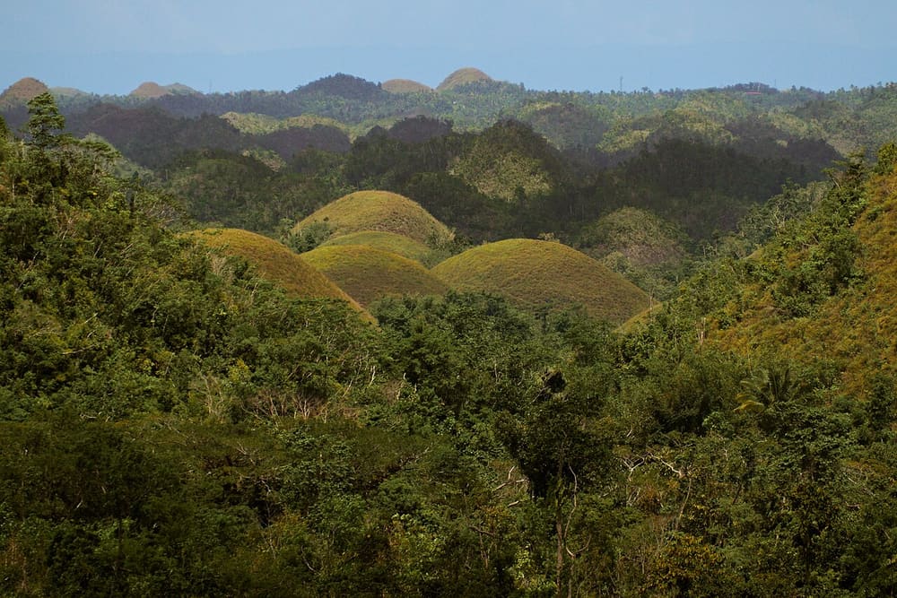 Bohol