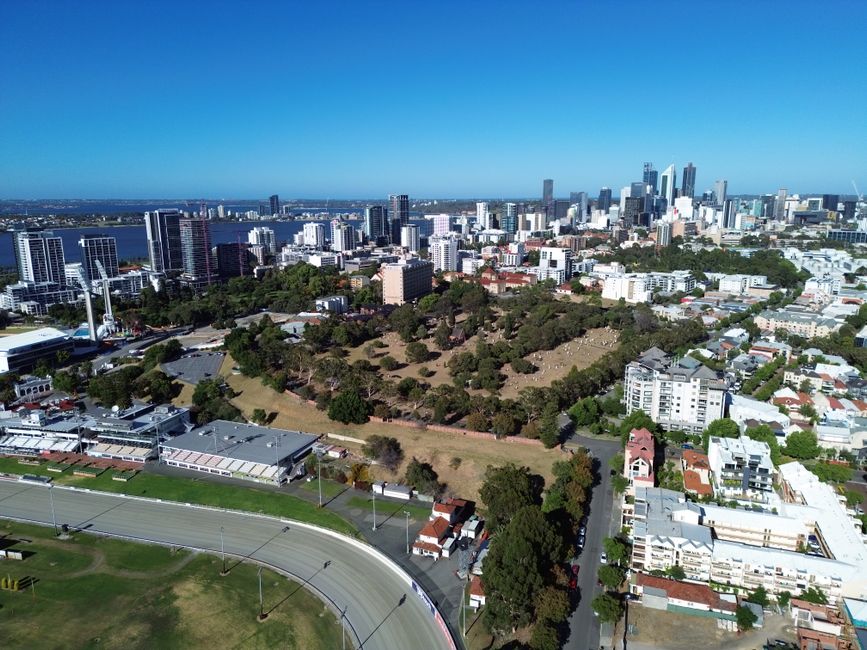Bold Park