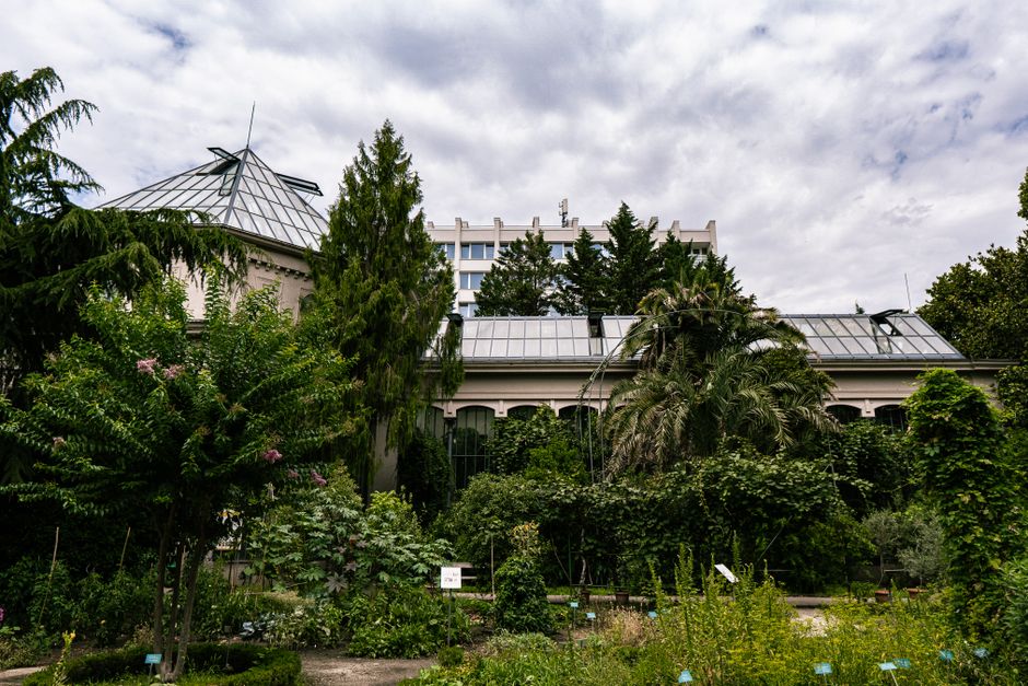 Botanical Garden and the greenhouses