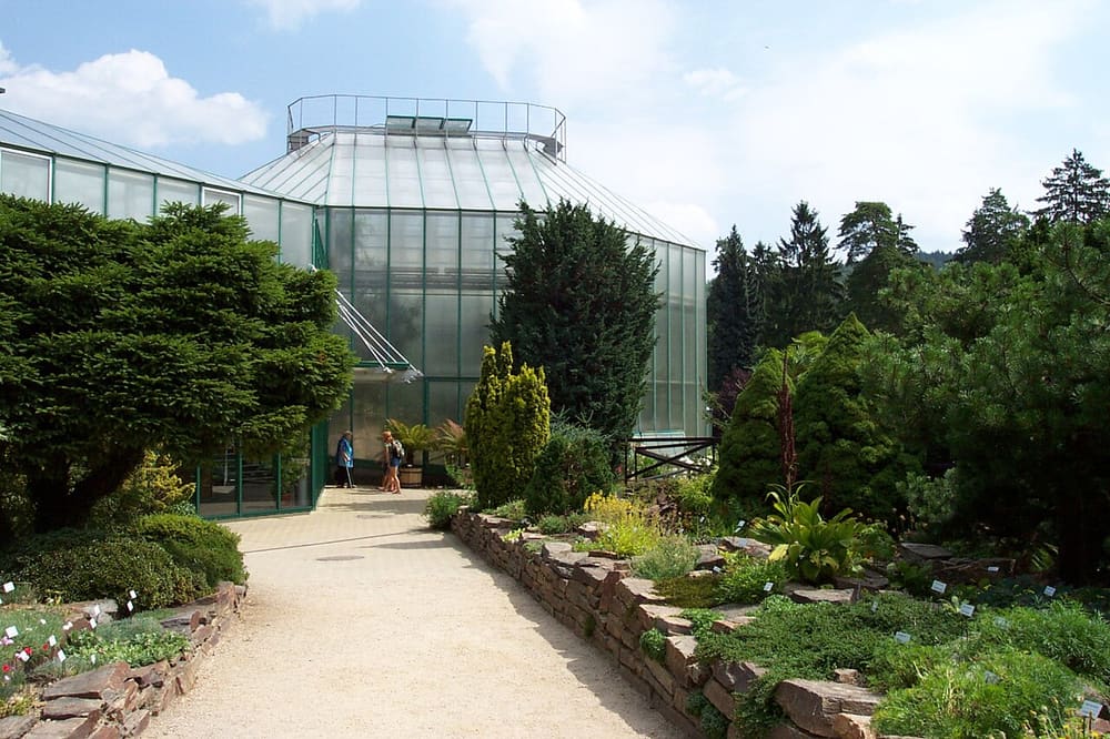 Botanická zahrada Liberec, Liberec, Czechia (Wimup)