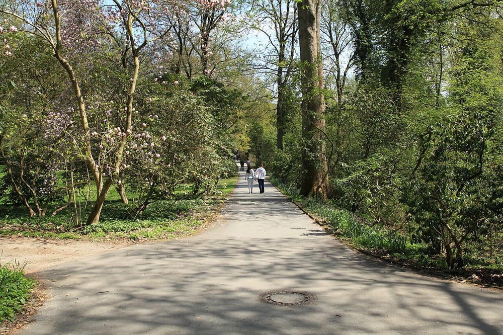 Botanischer Garten Rombergpark, Dortmund, Germany (Wimup)