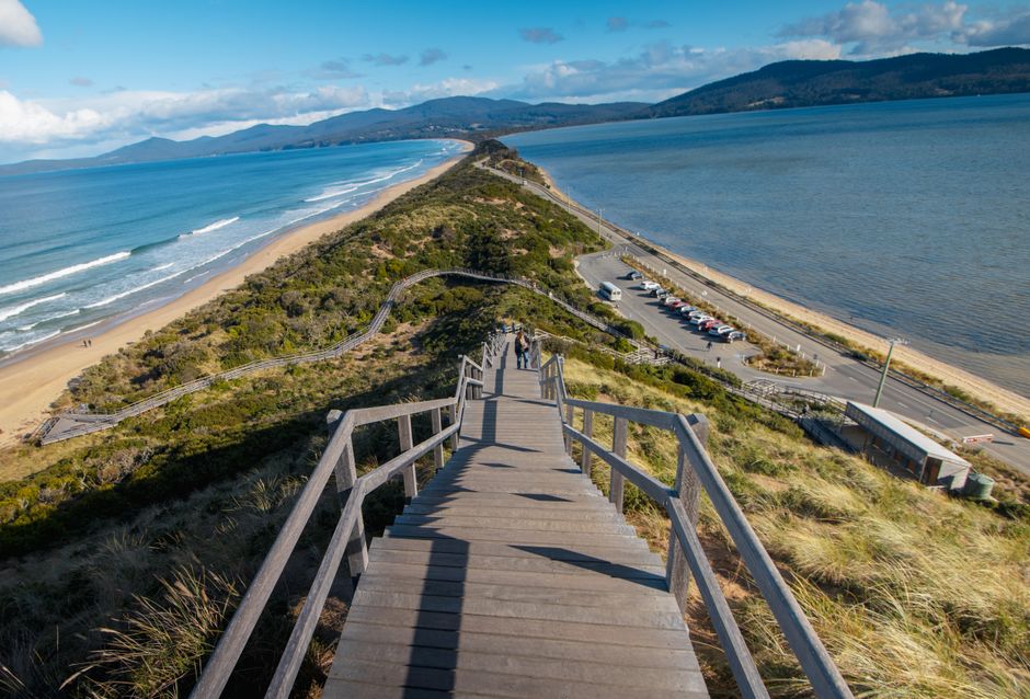 Bruny Island cheese, Hobart (Wimup travel guide)