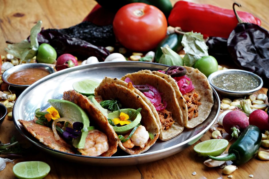 Cactus Taco Shop