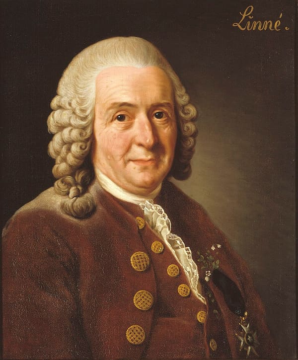 Carl Linnaeus, Sweden (portrait via Wikimedia Commons)