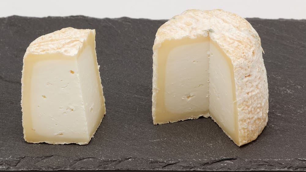 Chabichou du Poitou, Poitiers (Wimup travel guide)