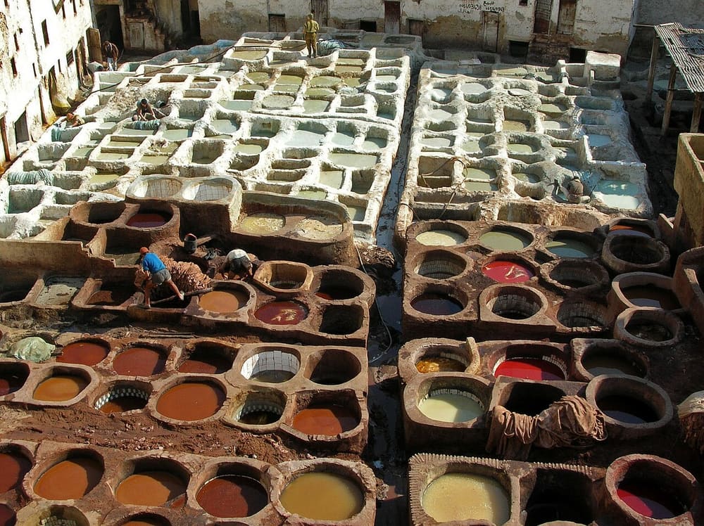 Chouara Tannery, Fes, Morocco (Wimup)