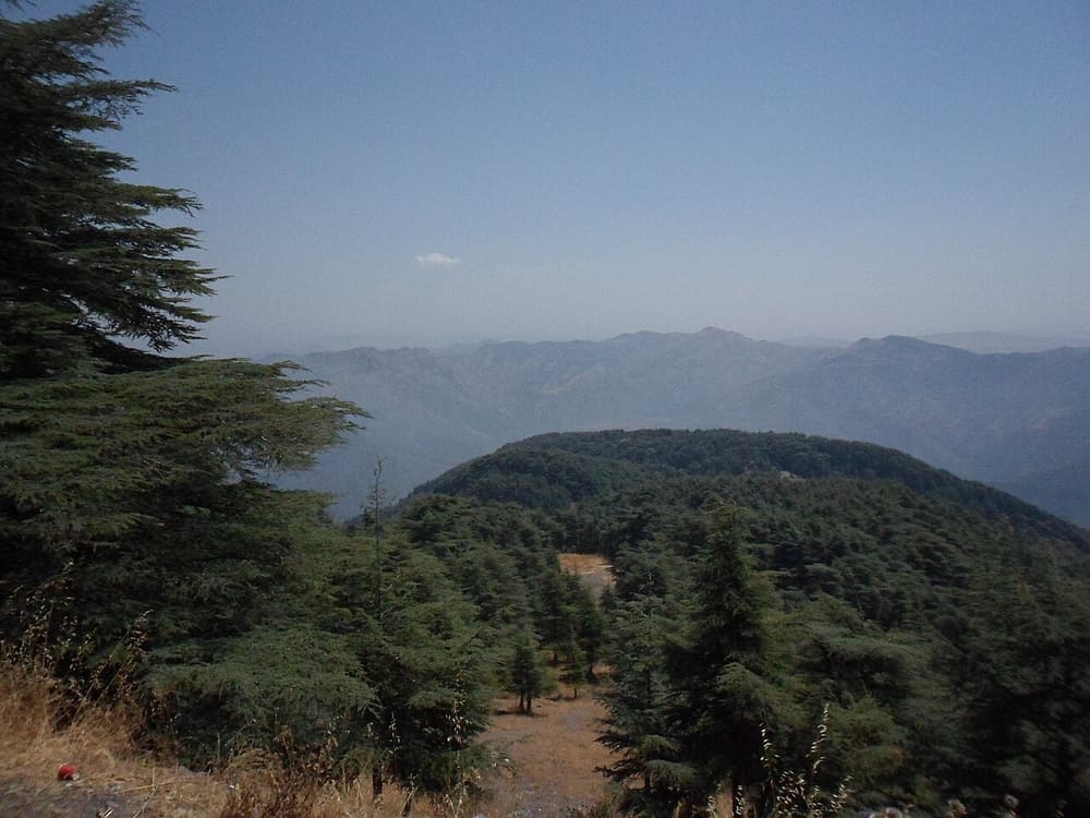 Chréa National Park