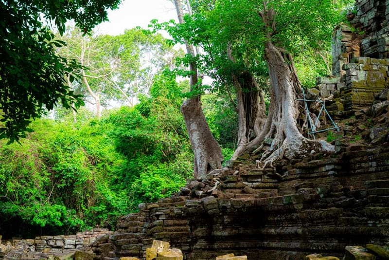 Climb through Beng Mealea, Siem Reap, Cambodia
