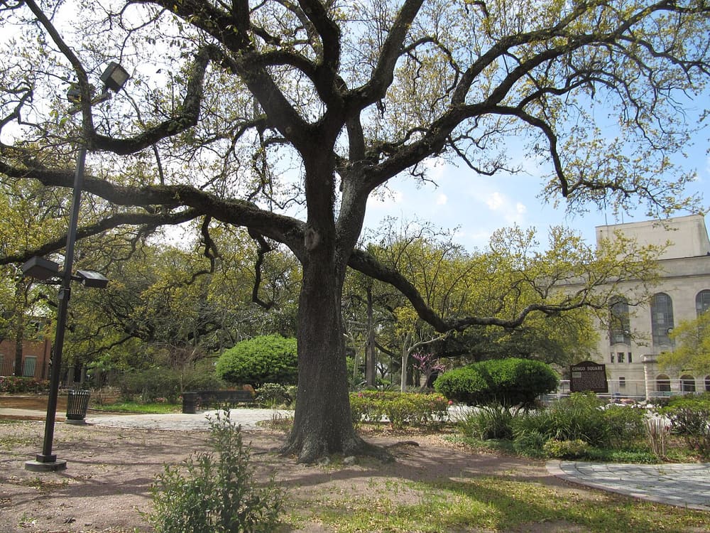 Congo Square, New Orleans, United States (Wimup)