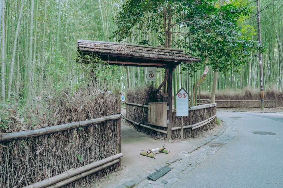 Cross the Arashiyama bamboo path into Tenryu-ji, Kyoto, Japan