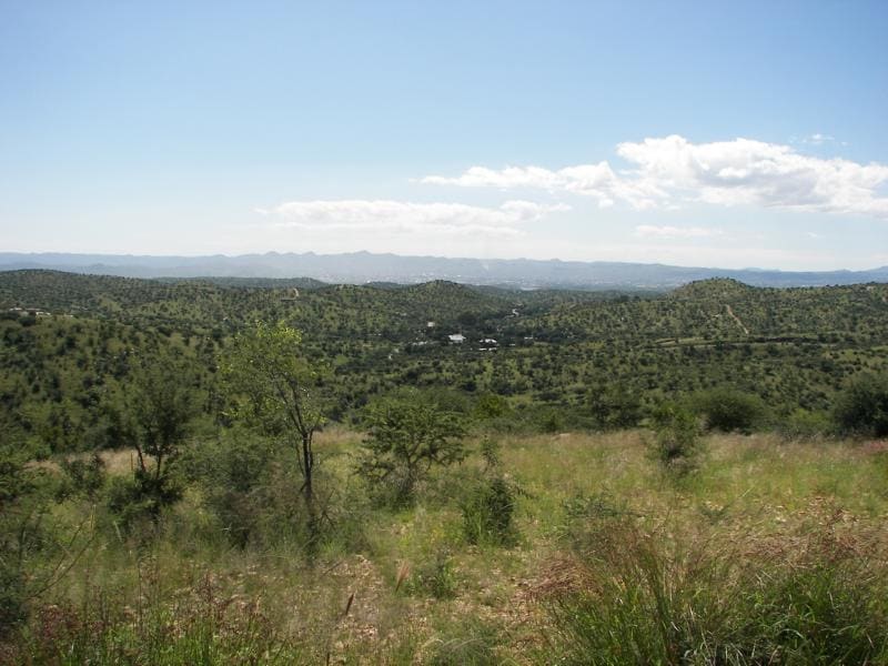 Daan Viljoen Game Reserve, Windhoek, Namibia (Wimup)