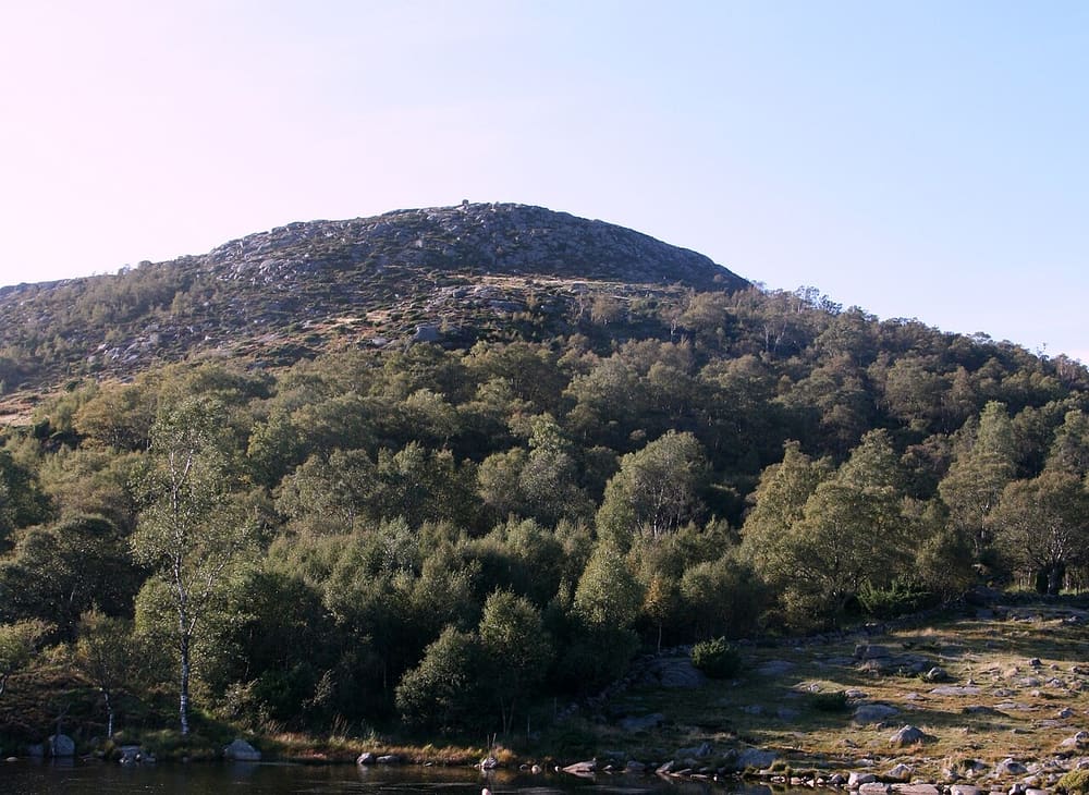 Dalsnuten