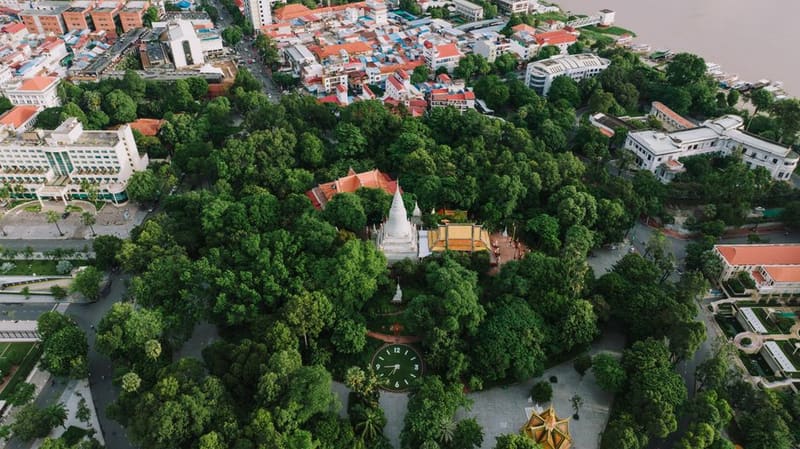 Daun Penh