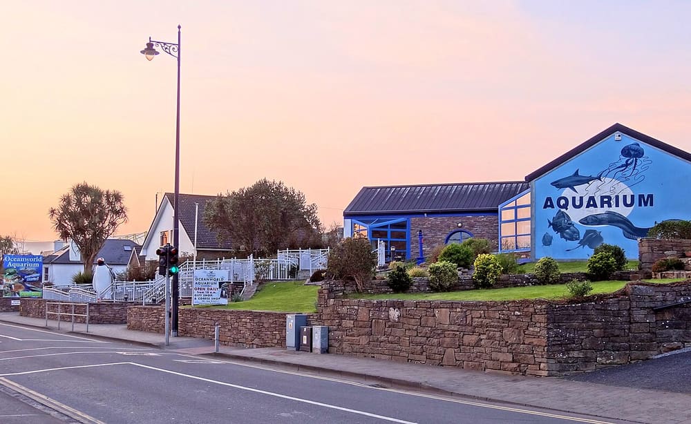 Dingle Oceanworld
