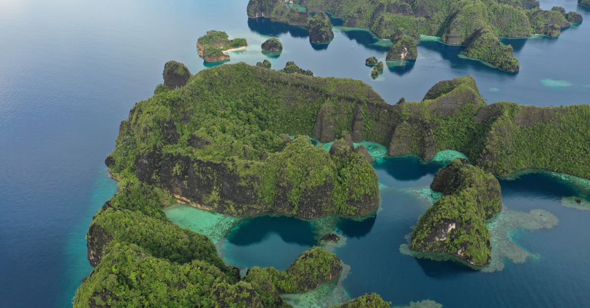 Palau, Micronesia, scuba diving travel guide (Wimup)