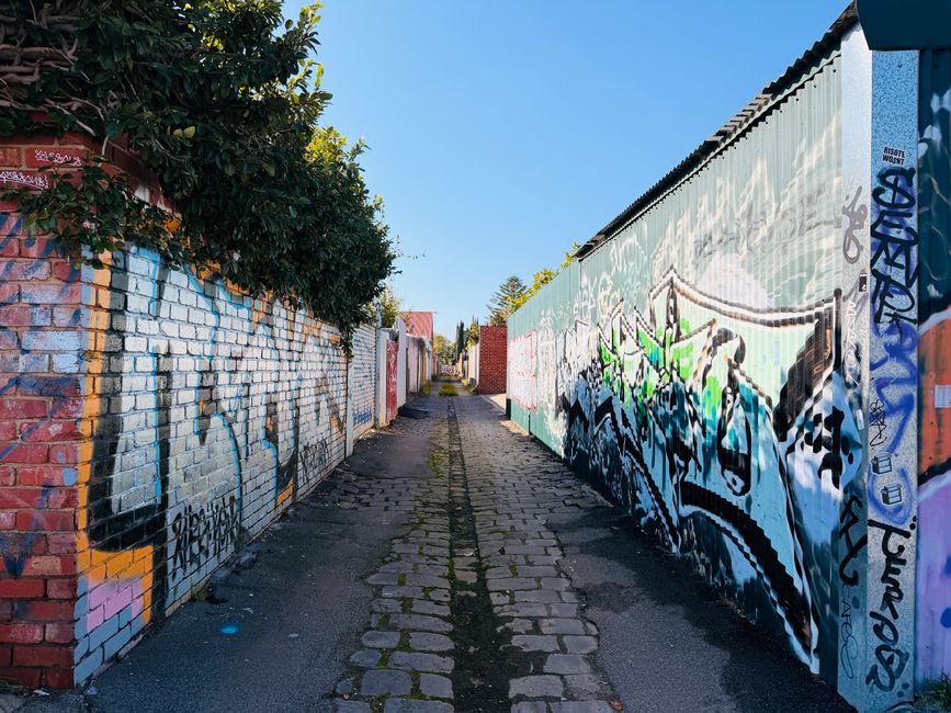 Dunedin Street Art Trail