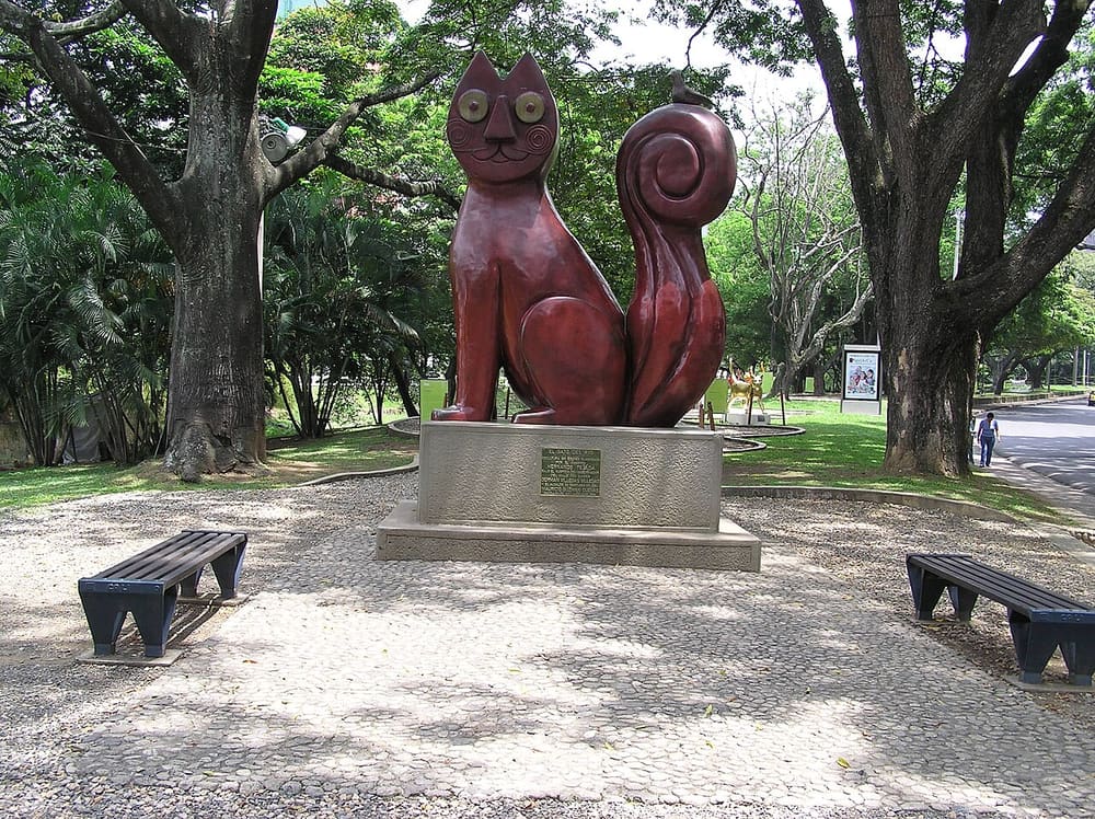El Gato del Río, Cali, Colombia (Wimup)