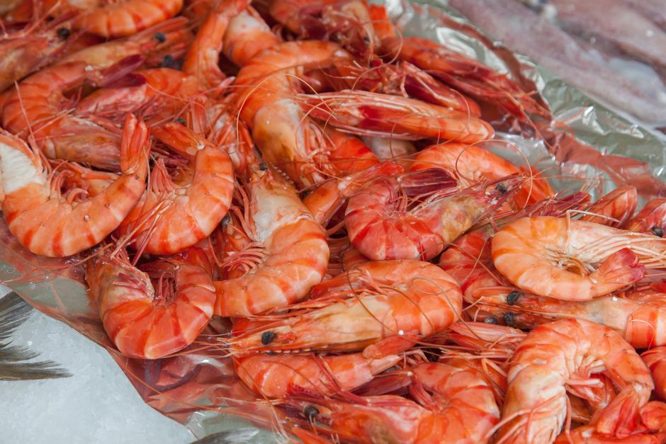 Exmouth prawns, Perth (Wimup travel guide)