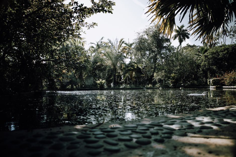 Fairchild Tropical Botanic Garden