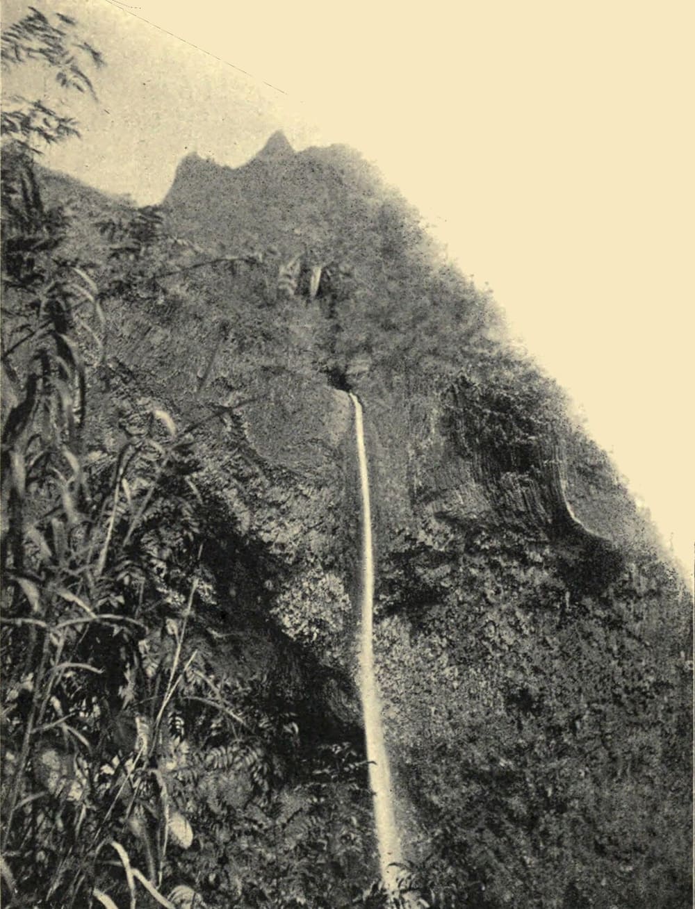 Fautaua Valley, Papeete, French Polynesia (Wimup)