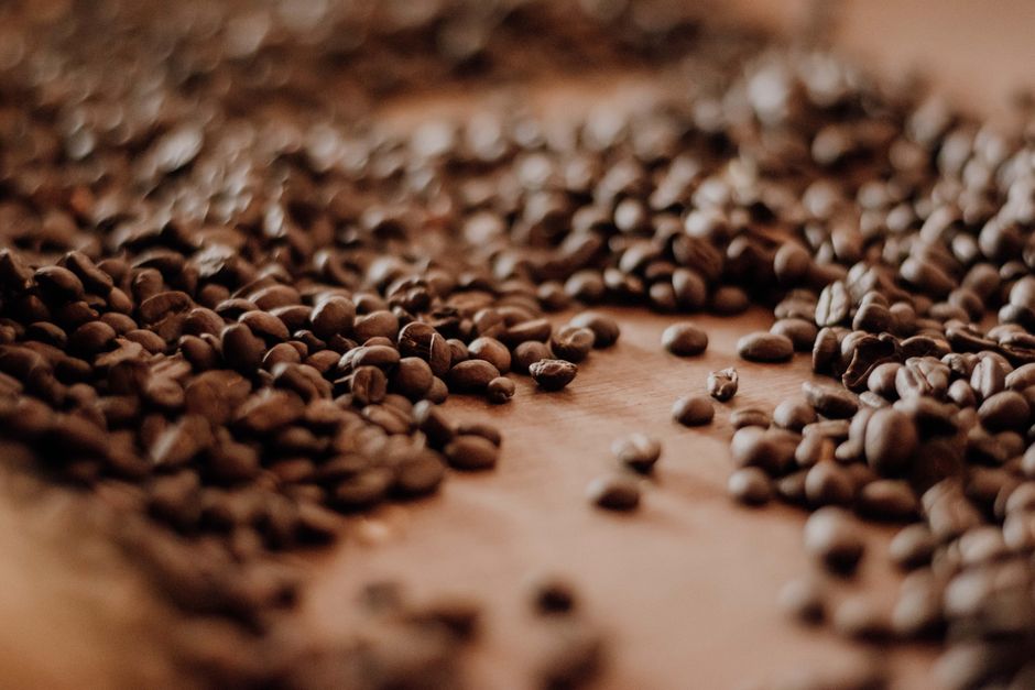 Finca Filadelfia coffee tour