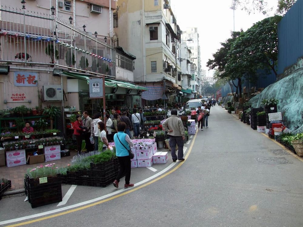 Flower Market