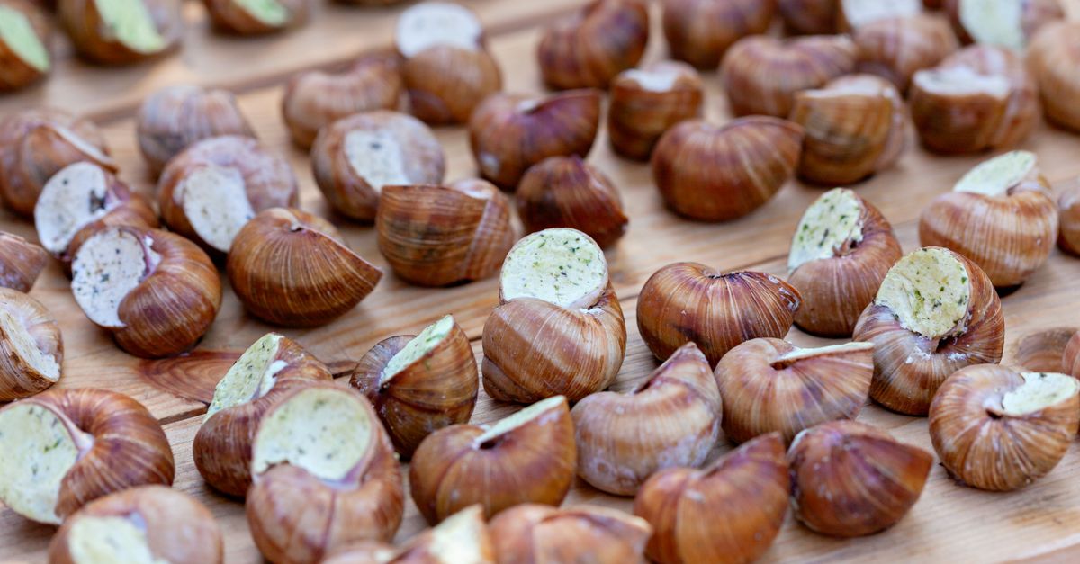 Escargots de Bourgogne, Paris (Wimup travel guide)