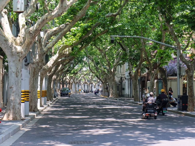 Former French Concession