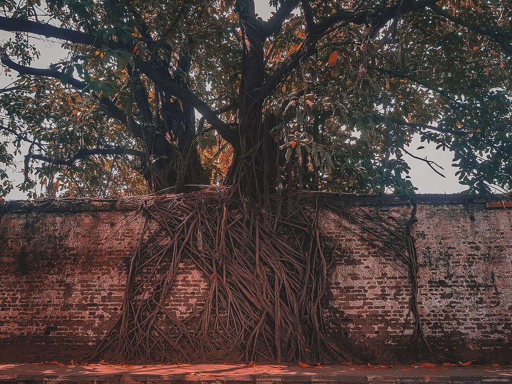 Freedom Park, Lagos, Nigeria (Wimup)