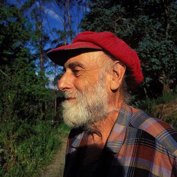 Friedensreich Hundertwasser, Austria (portrait via Wikimedia Commons)